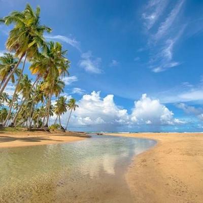 Playa Cosón, Las Terrenas